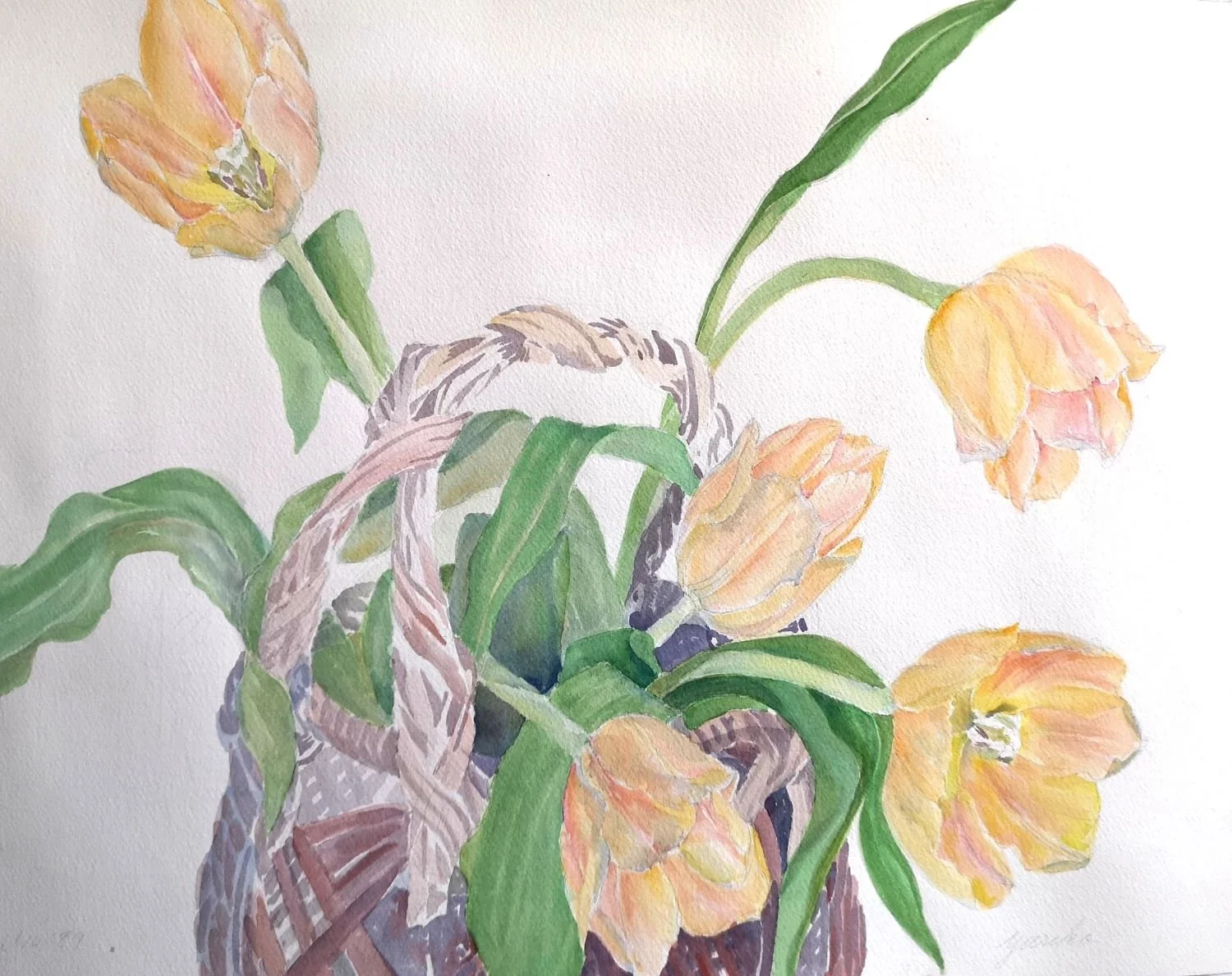 Apricot Tulip In Basket (#89.1), 1989, watercolour on paper, 14 x 20 inches (35.5 x 51 cm), framed, $1300 Cdn.