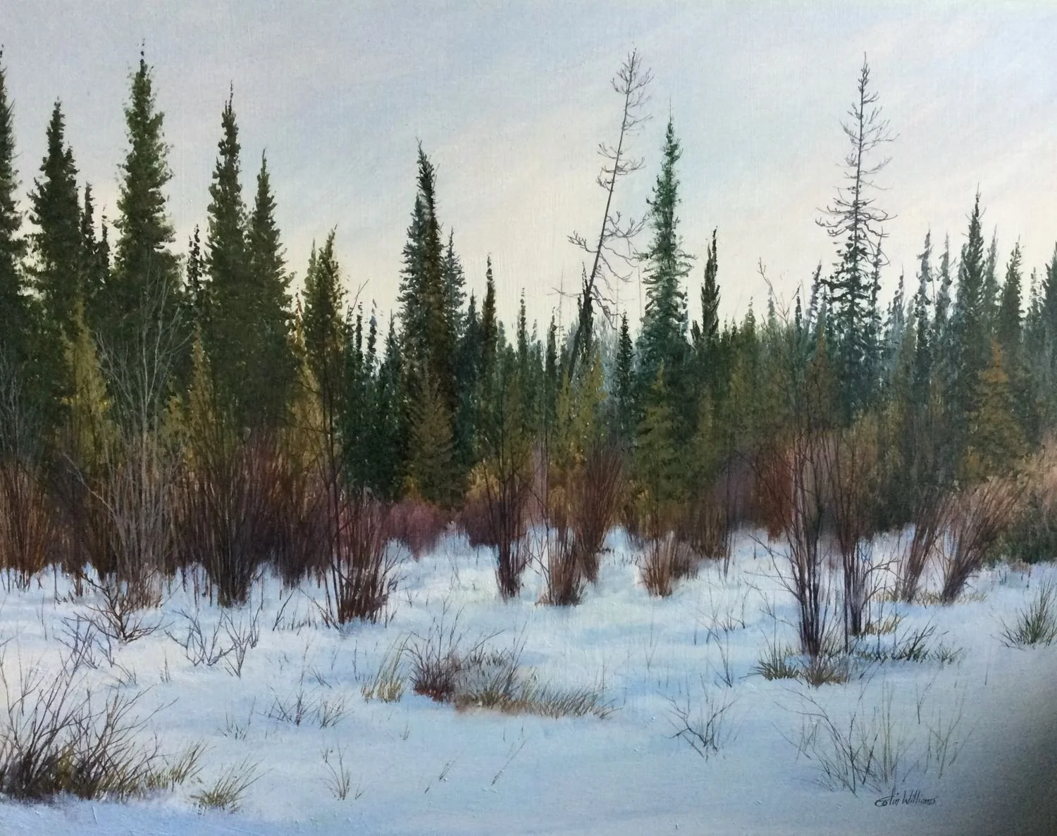 Winter Willows (A450/1522), c.1970s, oil/panel, 14x18 inches (36x46cm), framed, provenance: private collection Calgary, a portion of the sale of this work is donated to the Calgary Foundation, $2050 Cdn.
