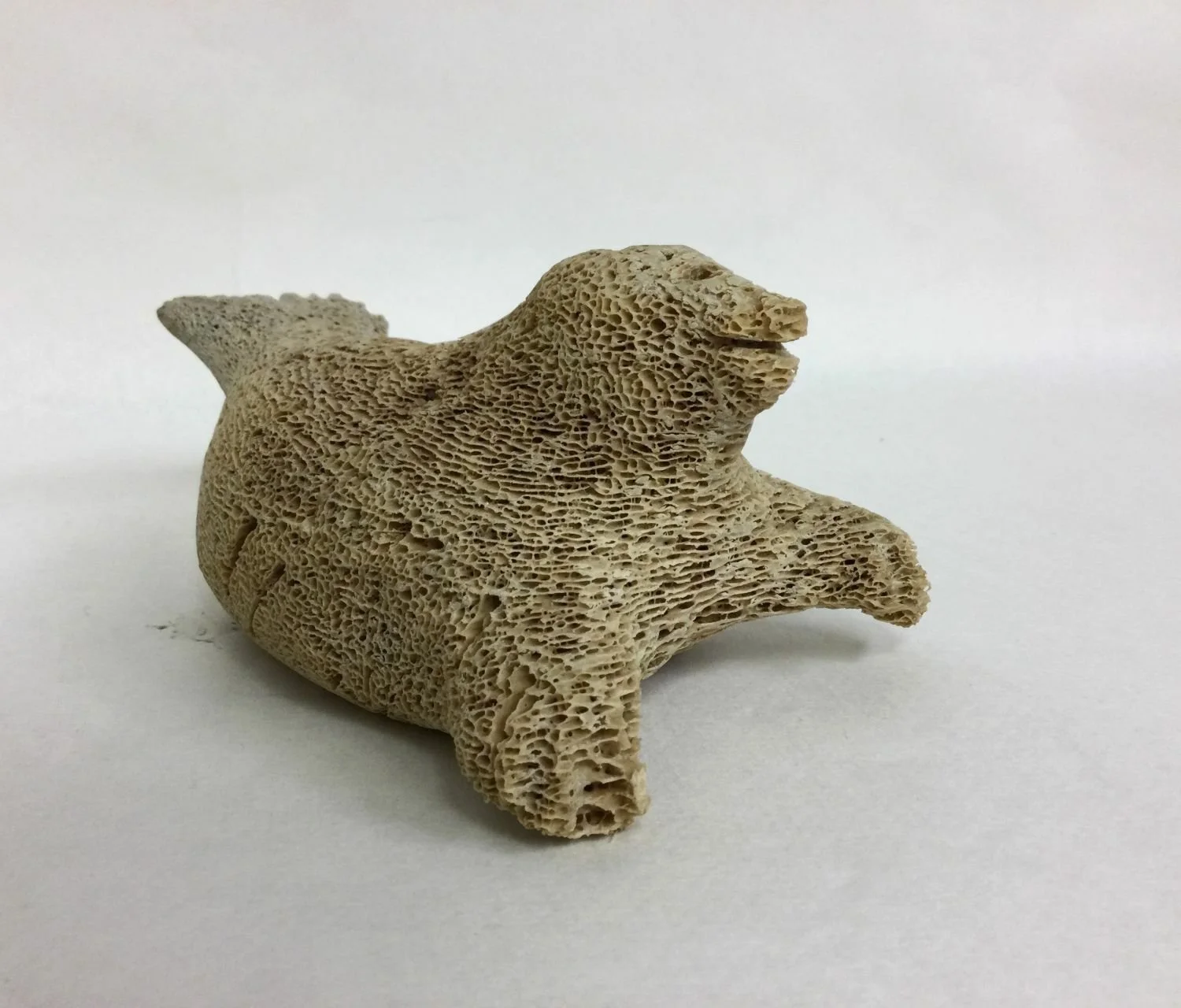 unknown artist, Pannirtuq / Pangnirtung ᐸᖕᓂᖅᑑᖅ, Young Seal, early 1960s, carved whalebone, 3 x 6.5 x 4 inches (7.5 x 16.25 x 10 cm), $450 Cdn. ---- note - export restrictions may apply.