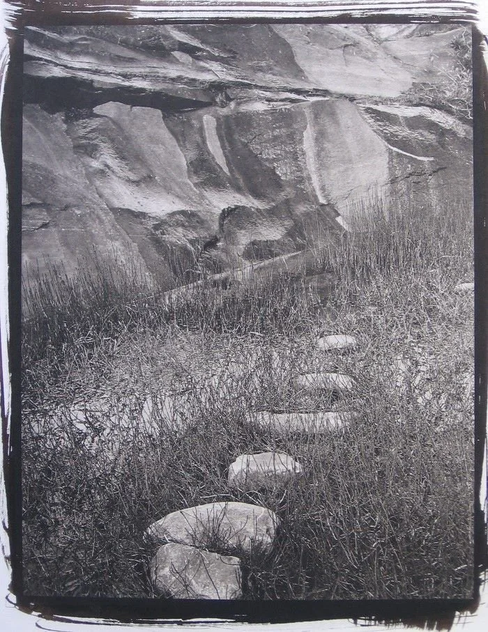 Horsetails, Sir Sanford, BC, platinum / palladium contact print, 13.5 x 10 inches, framed, $850 Cdn.