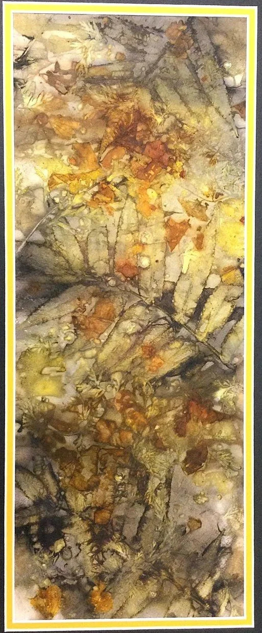 Eco Print (25.2), 2025, eco print on paper, 18.5 x 7" (47 x 18 cm), matted, sold