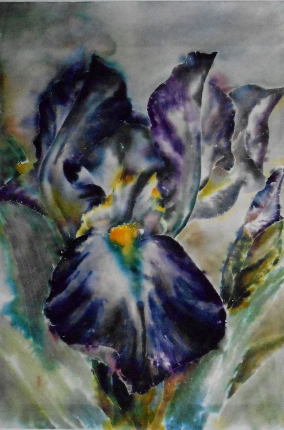 Iris Portrait, 1981, mixed media (dye & watercolour) / sekishu 30 gm rice paper, 36 x 24 inches (91.5 x 61 cm), framed, $2700.00 Cdn.