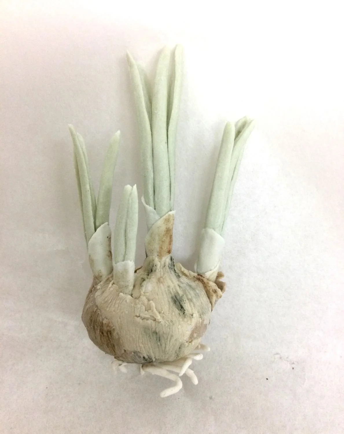 Crocus Bulb VI (cat#22.1), 2022, cone 6 hand modelled tinted porcelain, wall mounted, 4 x 2 inches (10x5 cm), $400 Cdn.