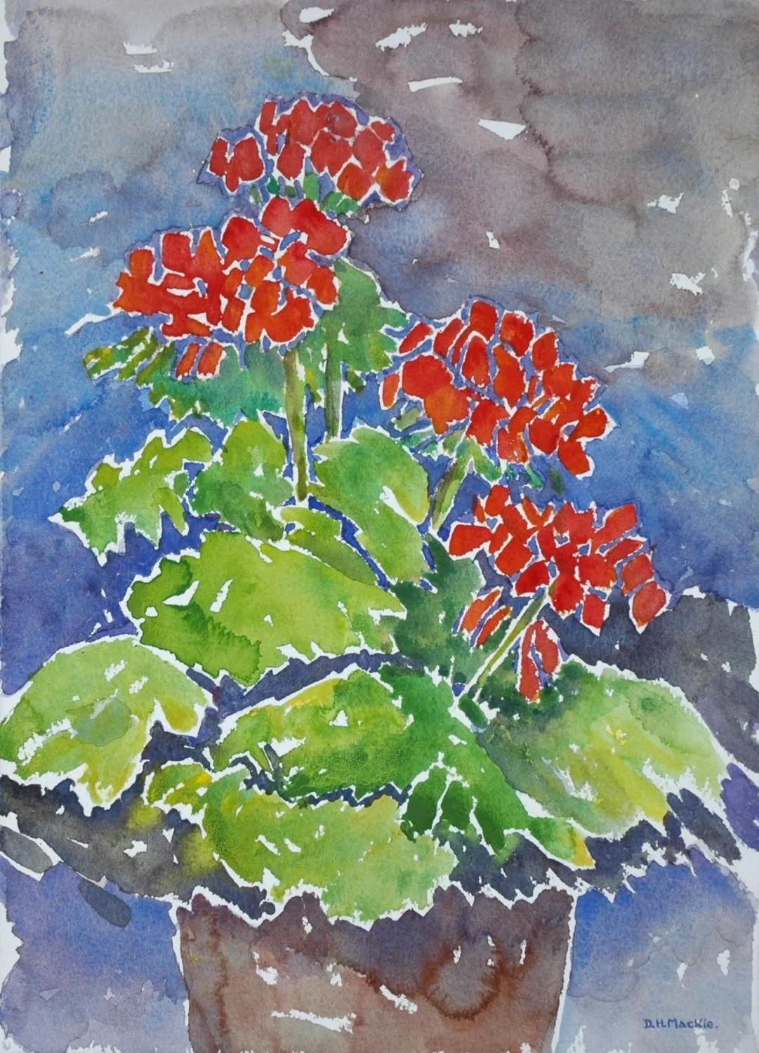 Geranium, n.d., watercolour/paper, 14 x 10 inches (35.5 x 25.5 cm), sold.