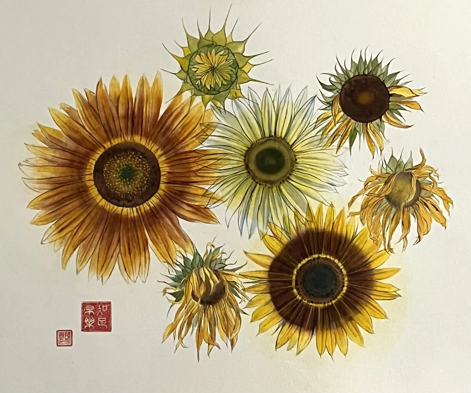 Sunflower Series (25.1) - Turn Towards The Sun / Learning From The Master, 2024, watercolour on paper, 15x18.5 inches (39x47cm), framed (outside measurement 25x27.5 inches / 64x70 cm), $1500 Cdn.
