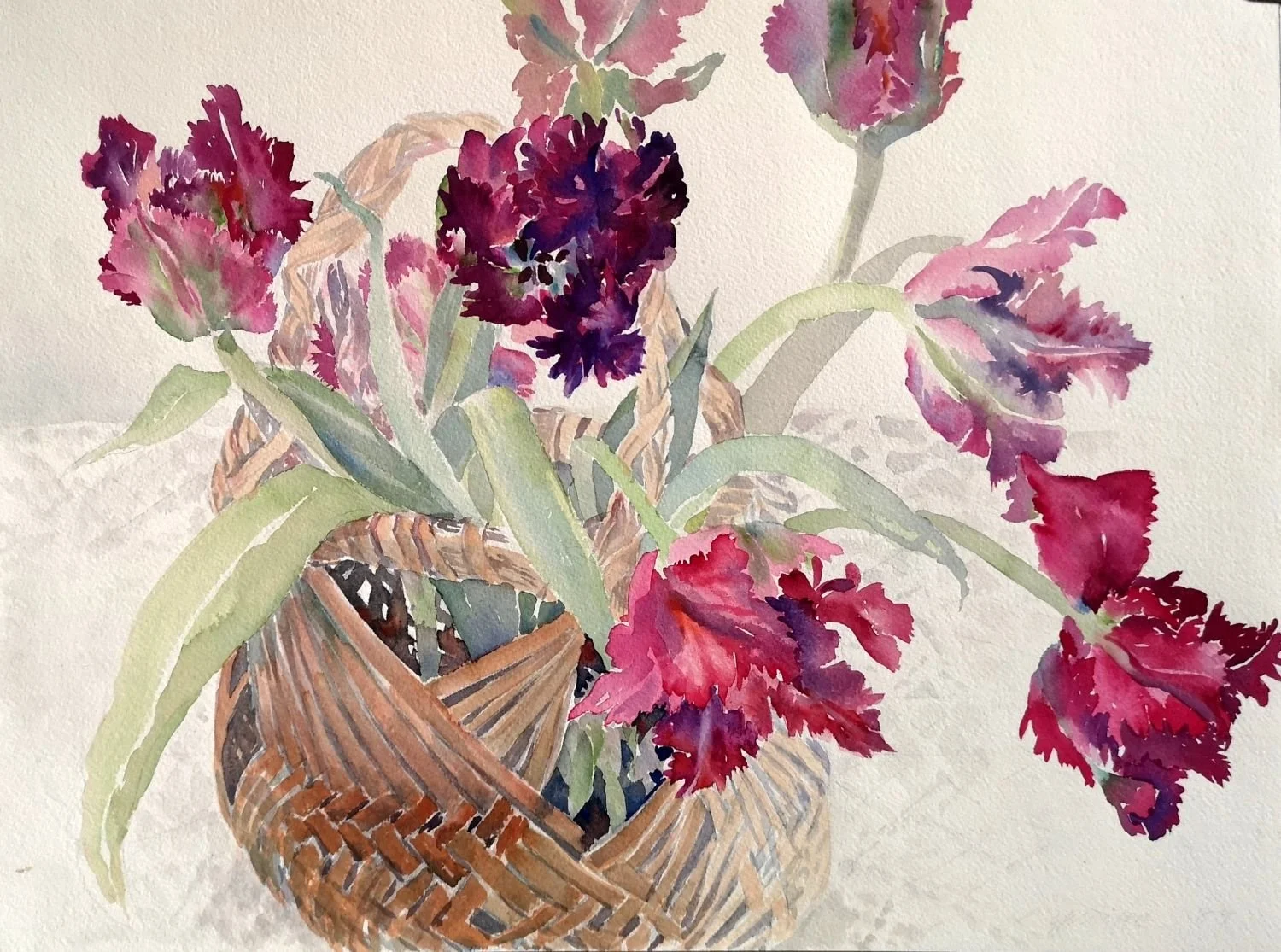 Parrot Tulip In A Basket (#94.6), 1994, watercolour/paper, 12 x 16 inches (30.5 x 40.5 cm), framed, $1175 Cdn.