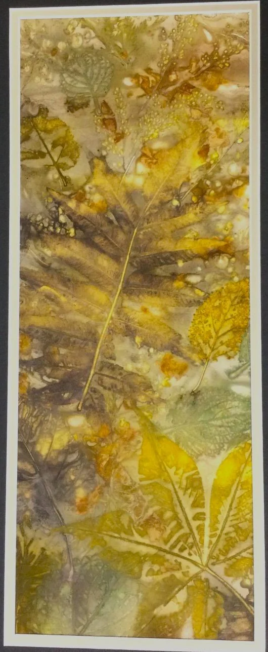 Eco Print (25.3), 2025, eco print on paper image: 18.5 x 7" (47 x 18 cm), matted, $375 Cdn