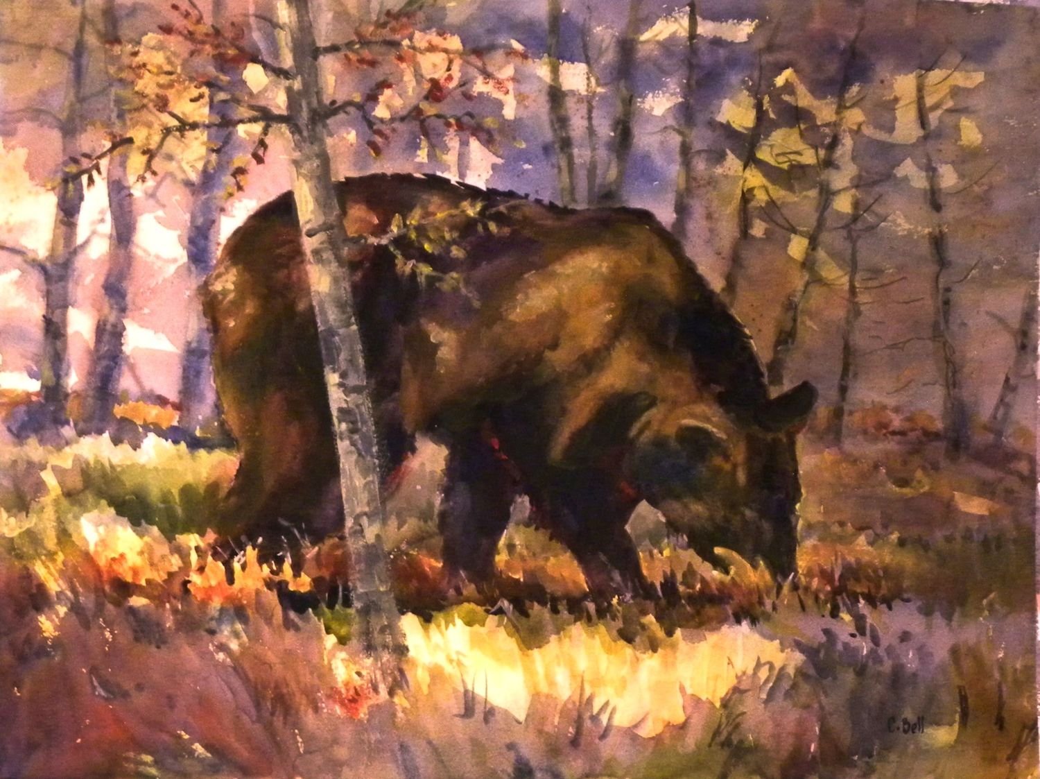 Black Bear in Aspens, watercolor on paper, 21 x 28 inches (53.5 x 71 cm), framed, $1800 Cdn.
