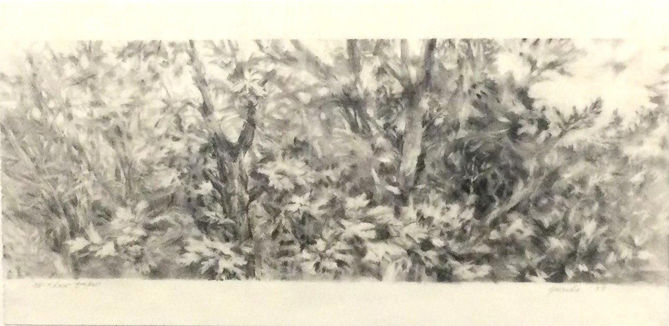 Maple Tree From Bedroom Window (#22.1), 1987, graphite on paper, 9.5 x 26 inches (24 x 66 cm), framed, $1100 Cdn. 