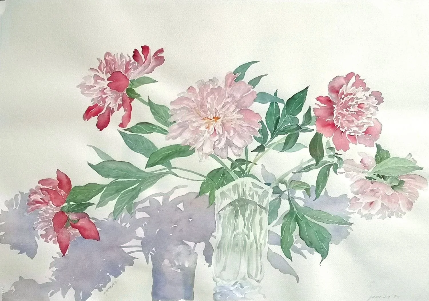 Peonies In Glass (Shadow Series #95.52), 1995, watercolour on paper, 22 x 30 inches (56 x 76 cm), framed, $1975 Cdn.