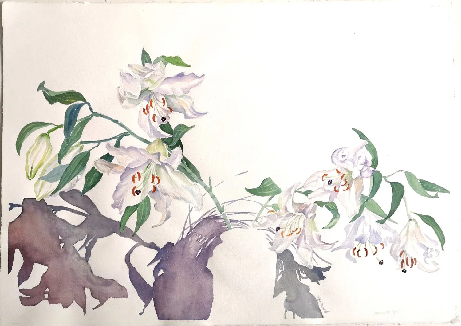 Yuriko Igarashi Kitamura