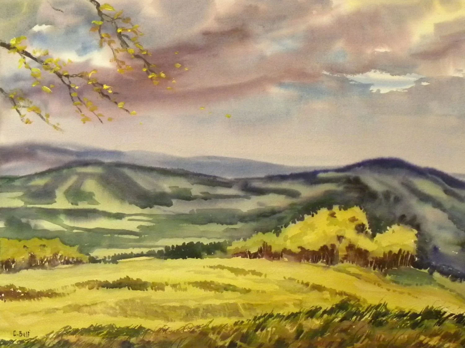 Leighton Panorama, watercolor on paper, 21 x 28 inches (53.5 x 71 cm), framed, $1800 Cdn.