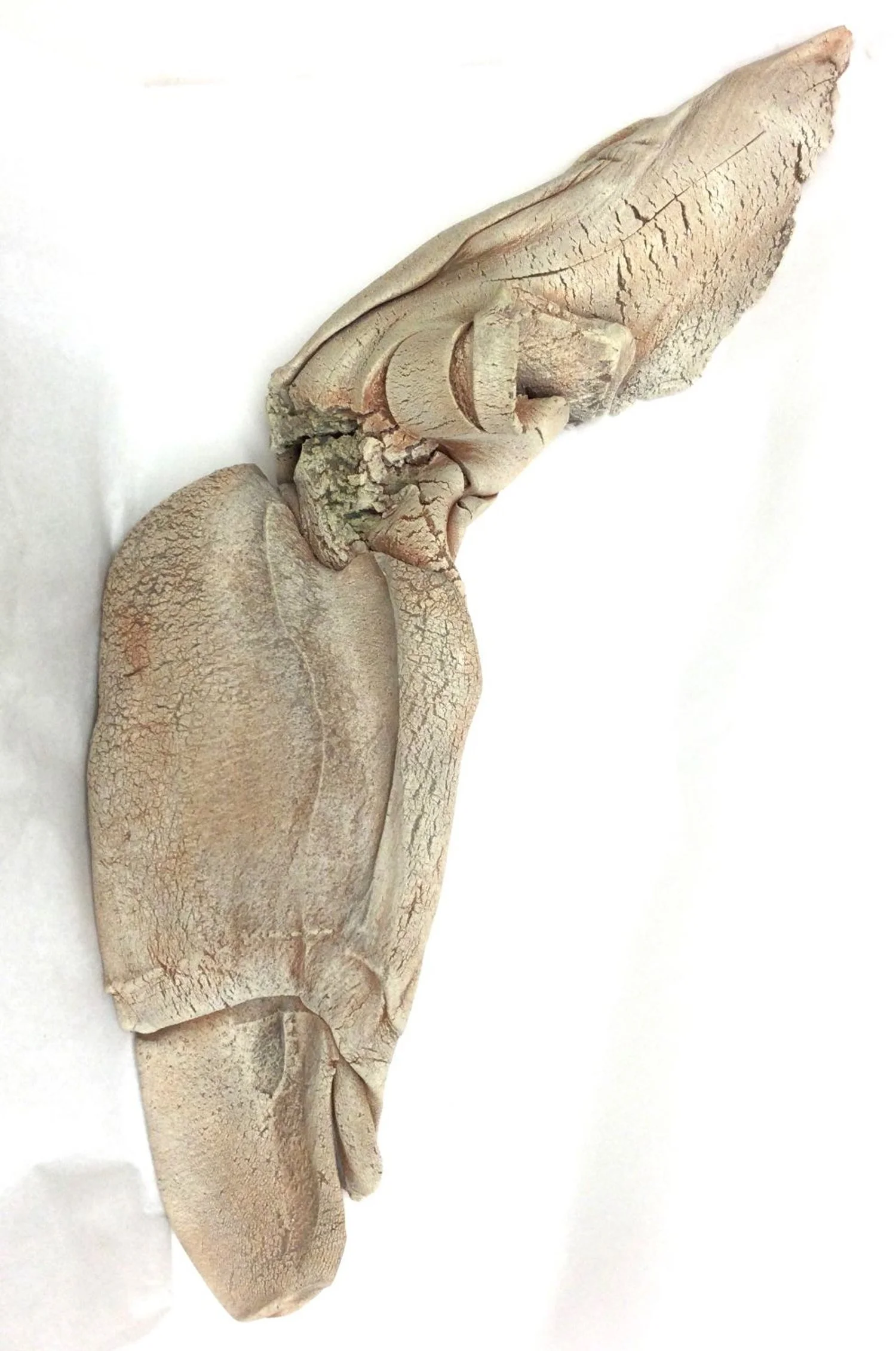 Flight (wall piece), stoneware and oxides, 21.5 x 8.5 x 4 inches, $800 Cdn.