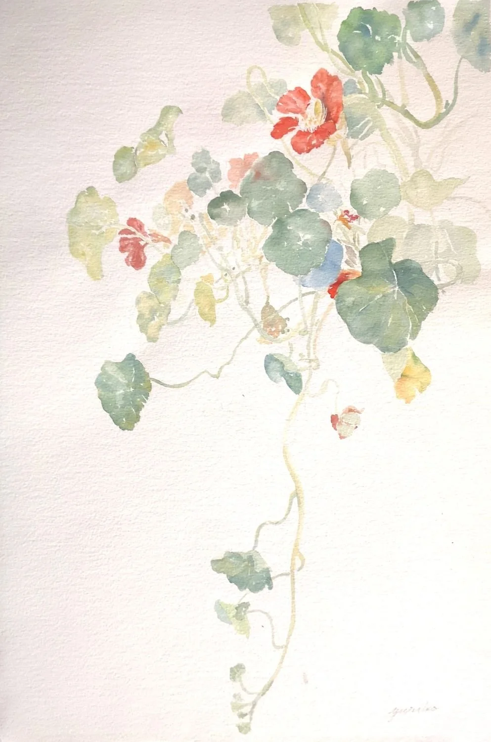 Yuriko Igarashi Kitamura