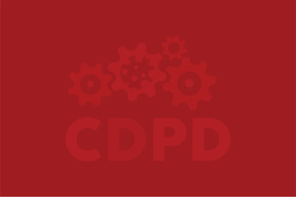 What Is CDPD what-is-cdpd