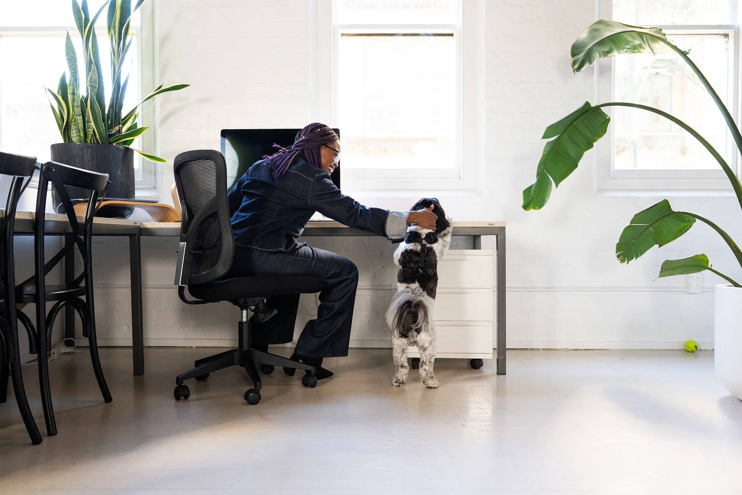 auckland-branding-photographer- (1).jpg