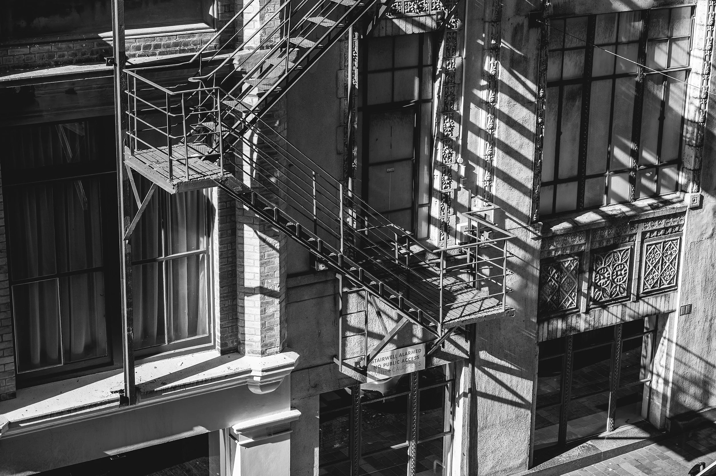 Female_Entrepreneur_Branding_Auckland (2).jpg