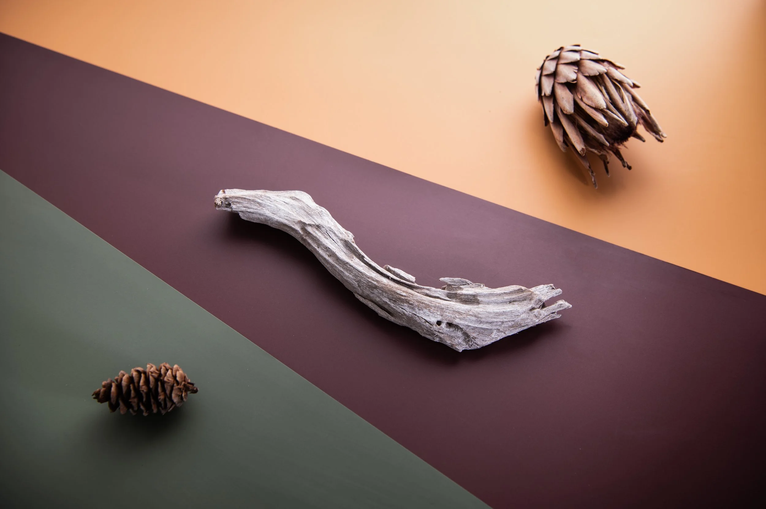 Product_Photography_Auckland (25).jpg