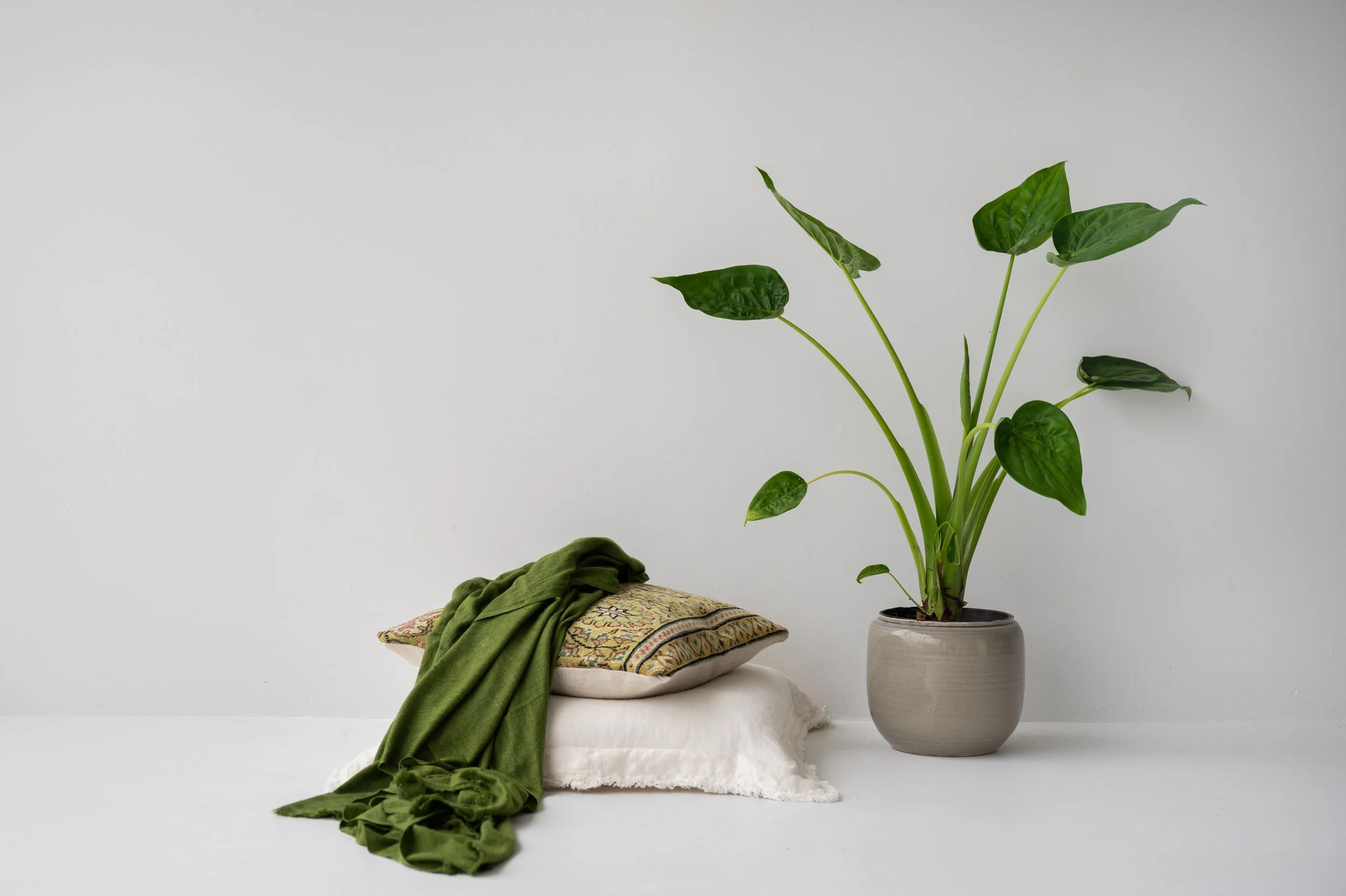 Product_Photography_Auckland (18).jpg
