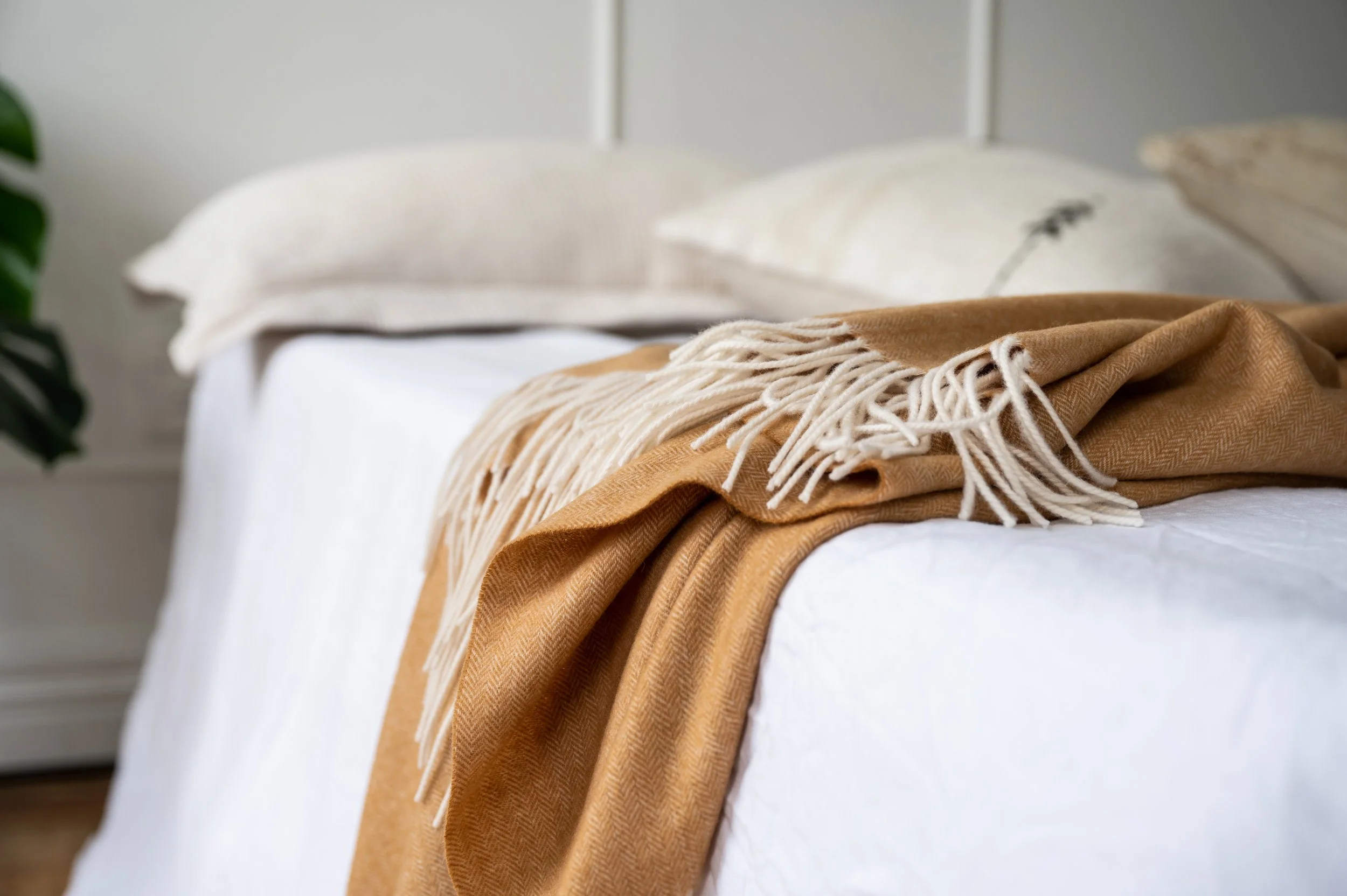 Product_Photography_Auckland (153).jpg