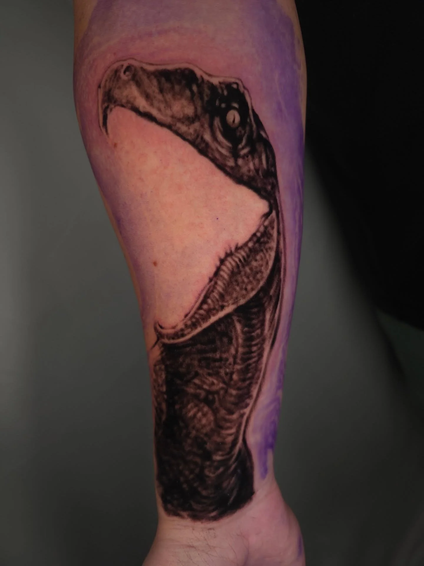 🔥🦖 Round 1 💥☄️ on this prehistoric chicken lizard! 🐔🦎

#jakeulmertattoos #ohiotattooers #somethingdarker #jurassicpark #bespoketattoogallery