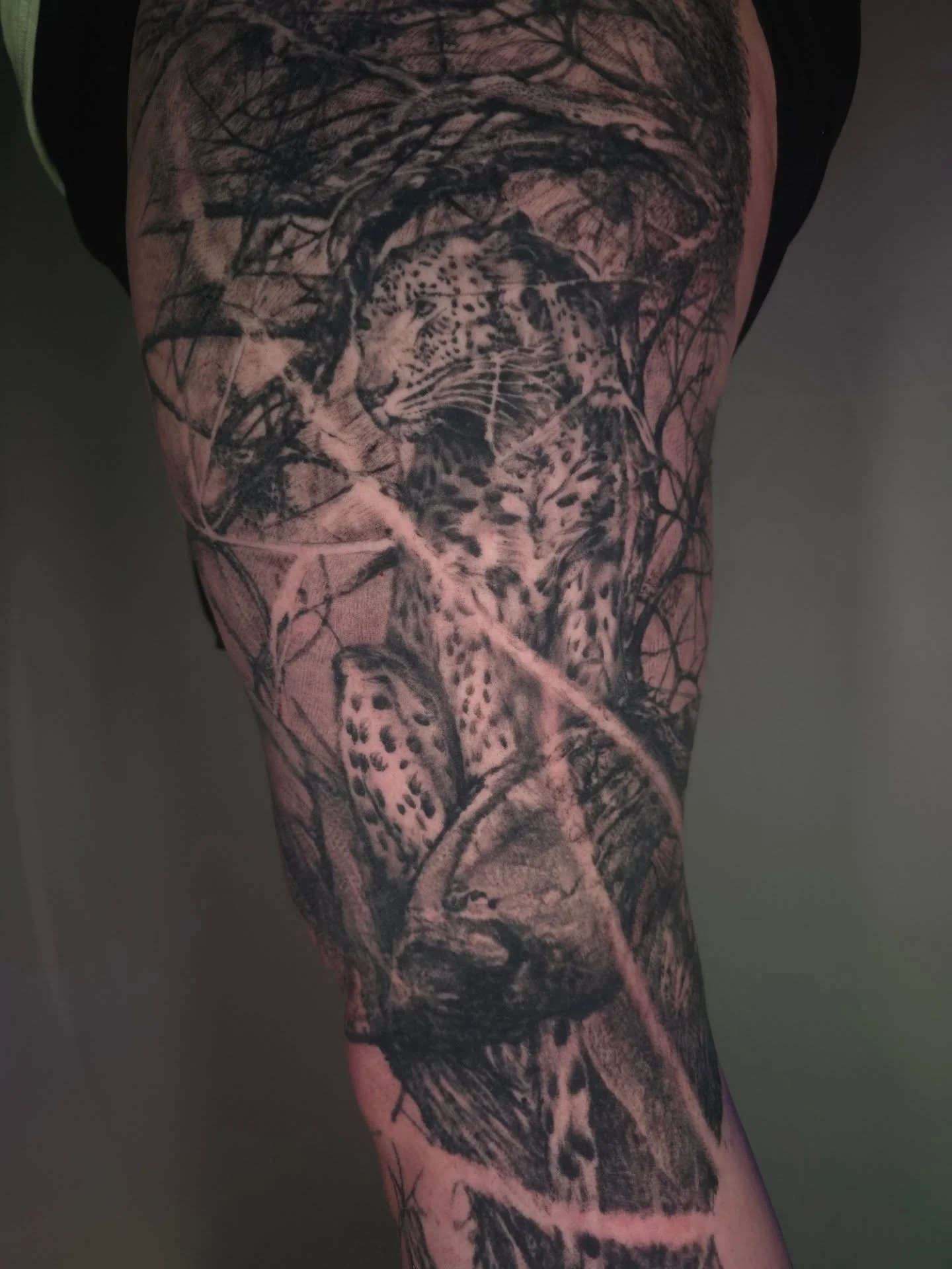 🐆🪾🖤

#jakeulmertattoos #ohiotattooers #somethingdarker #blackworktattoo #bespoketattoogallery