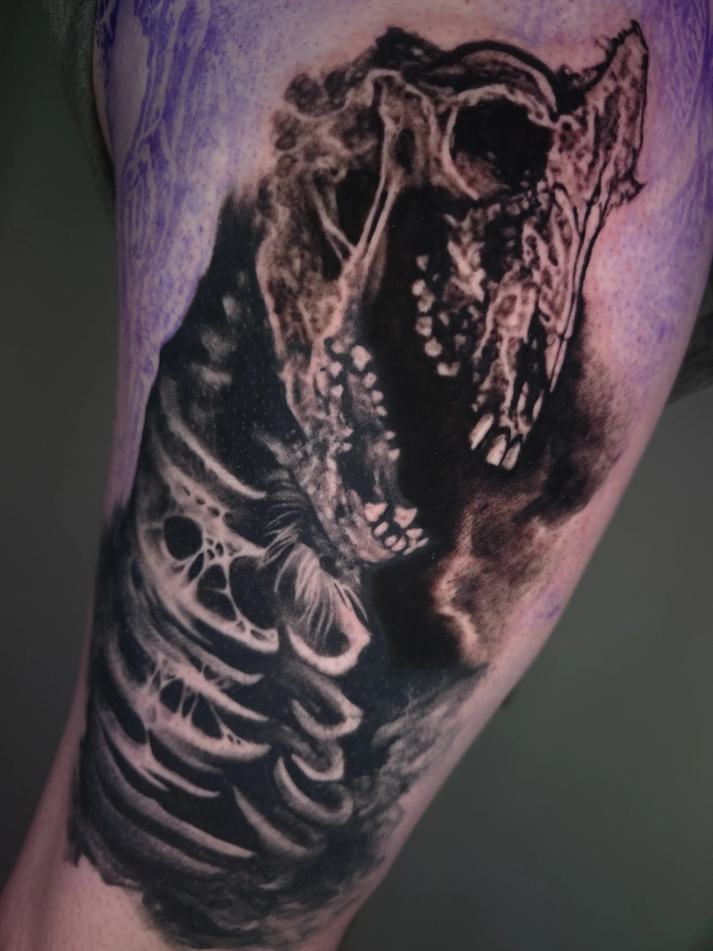 In-Progress