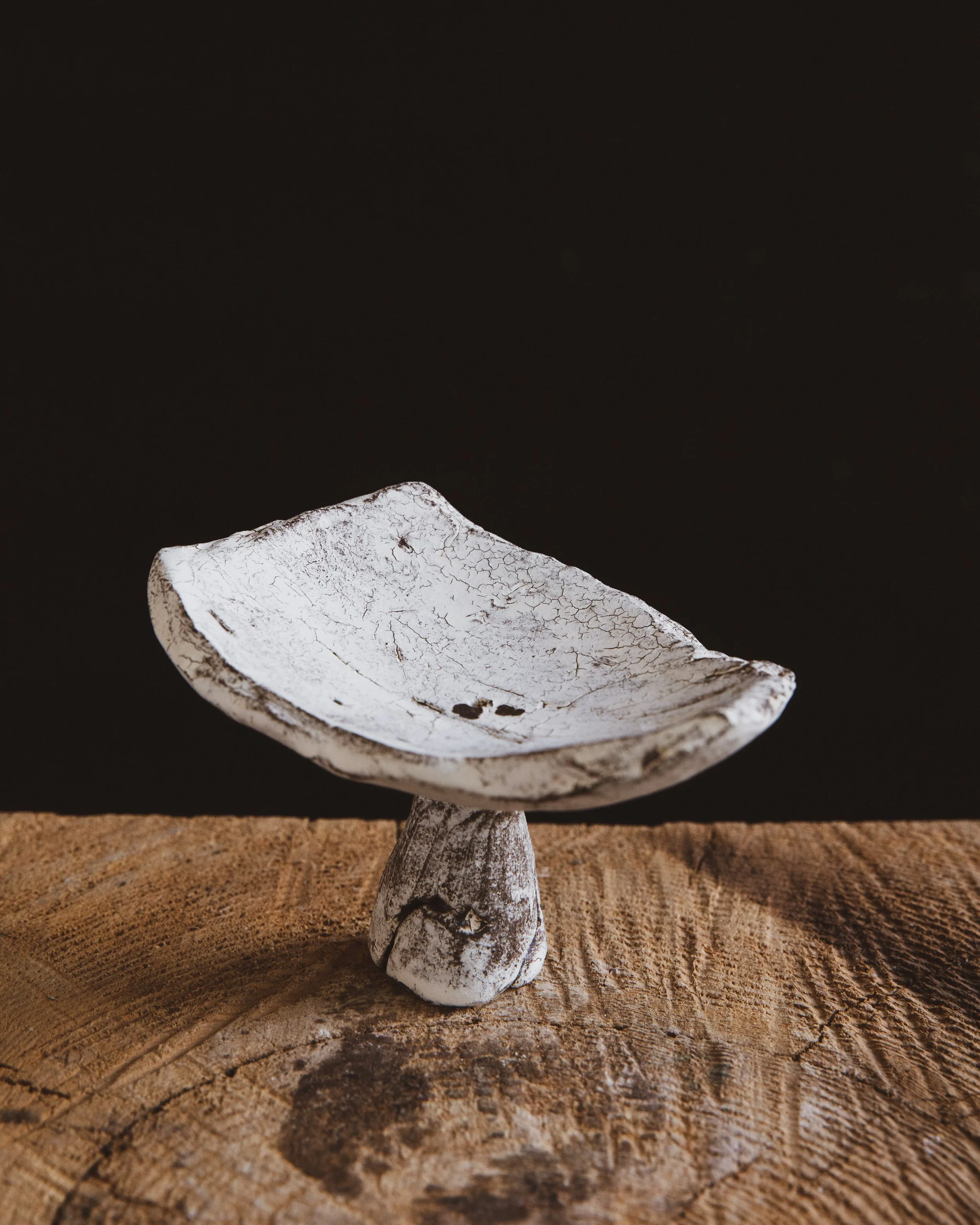 A white ceramic object with a dark cracking pattern