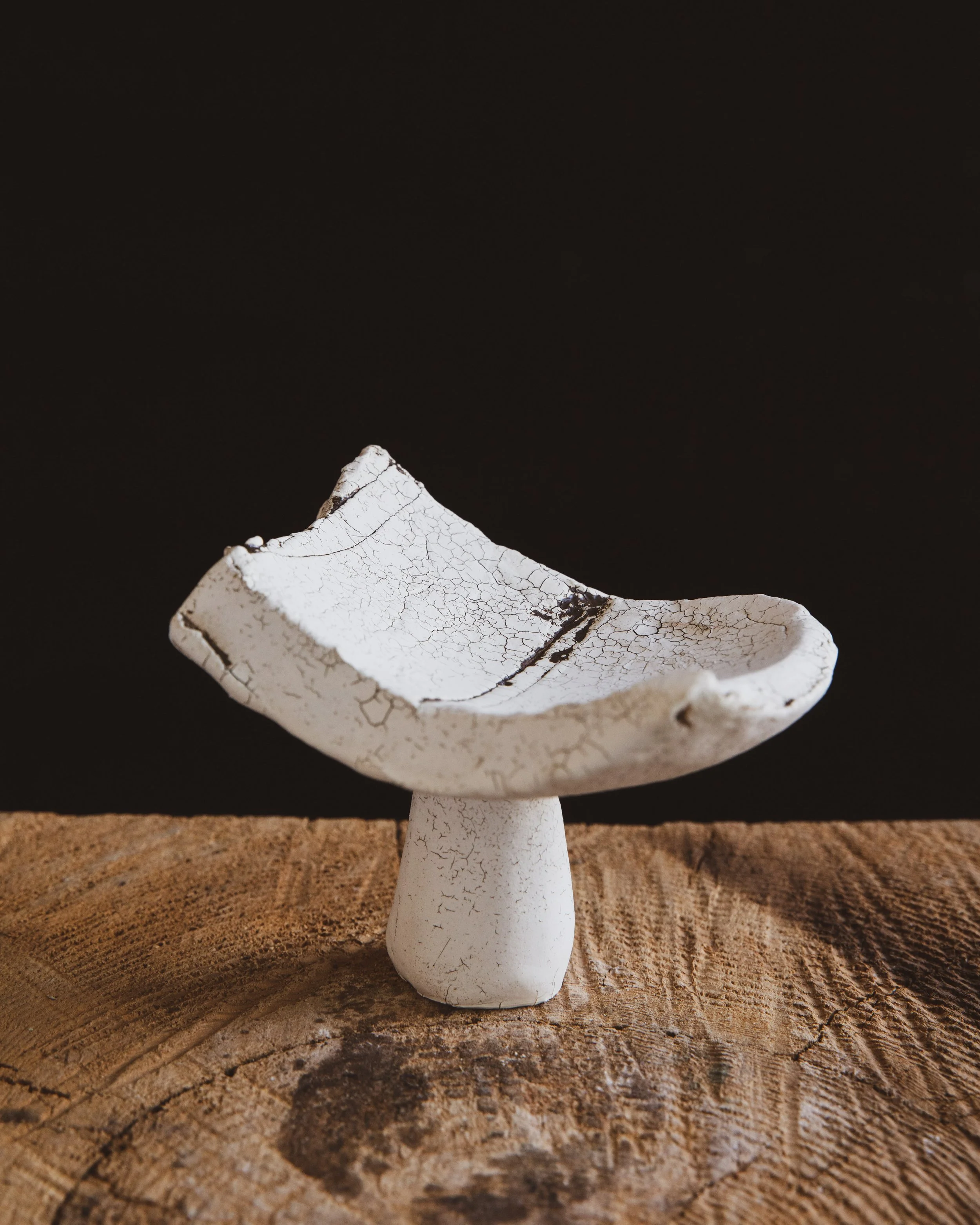 A white ceramic object with a dark cracking pattern
