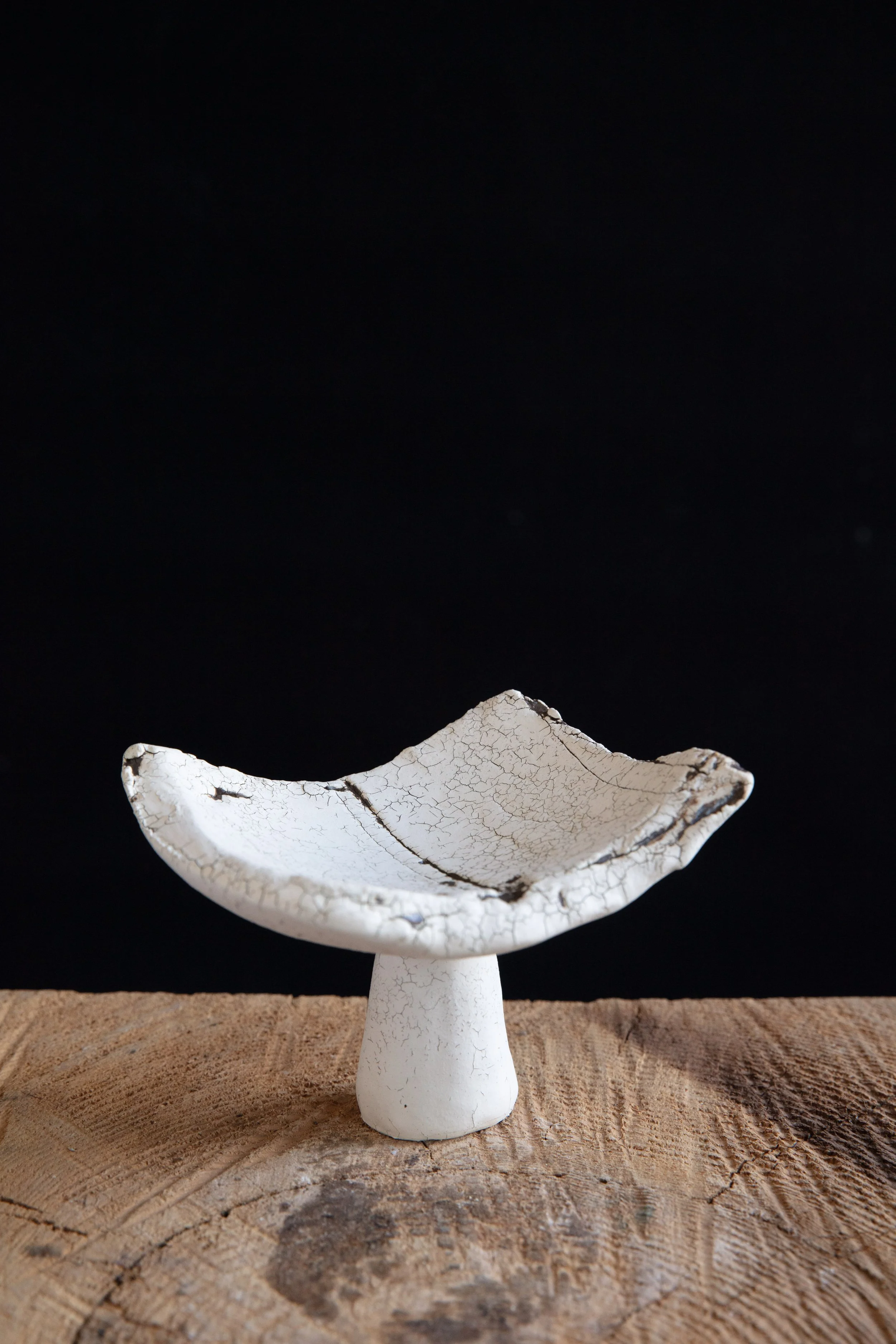 A white ceramic object with a dark cracking pattern