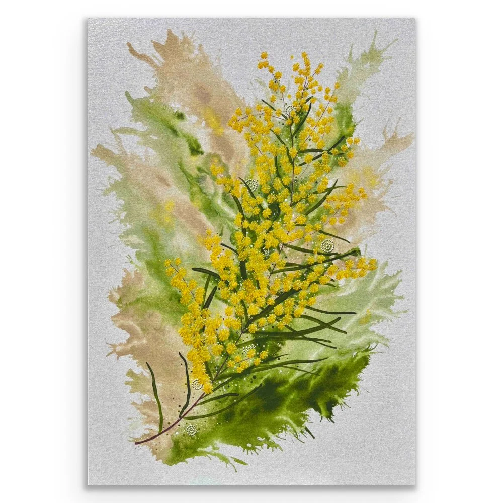 Original Artwork: Fringed Wattle (101 x 71cm)