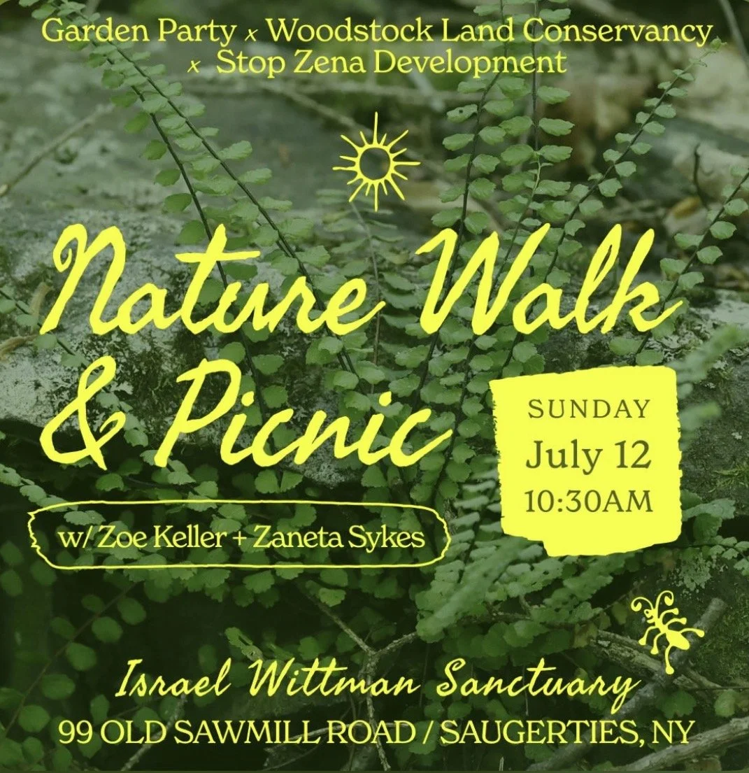 Nature Walk + Picnic