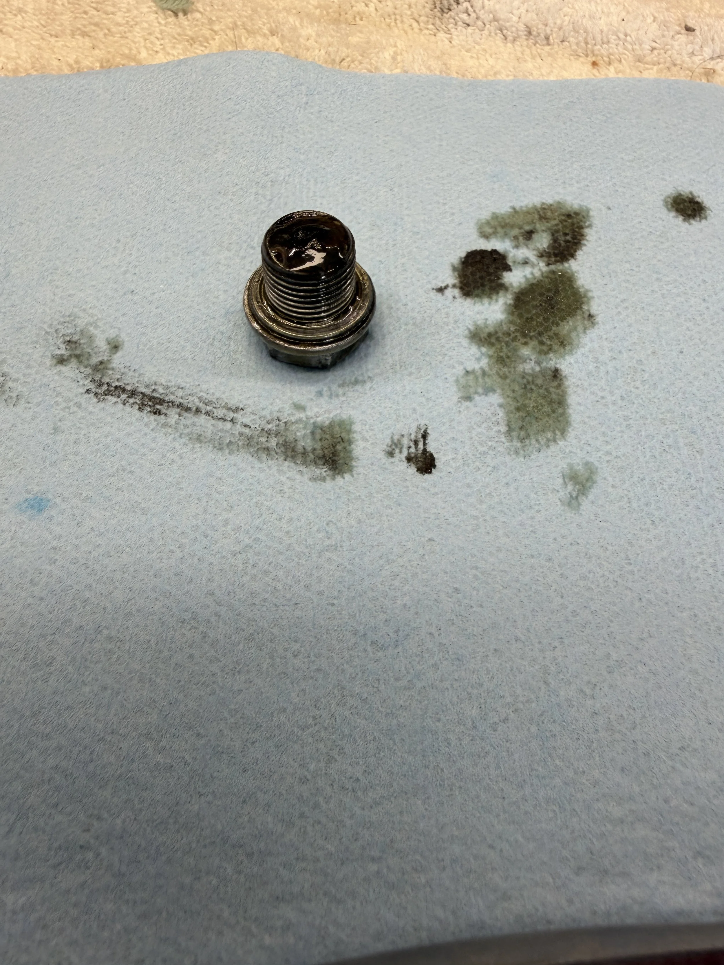 19mm Sump plug with gunk.....