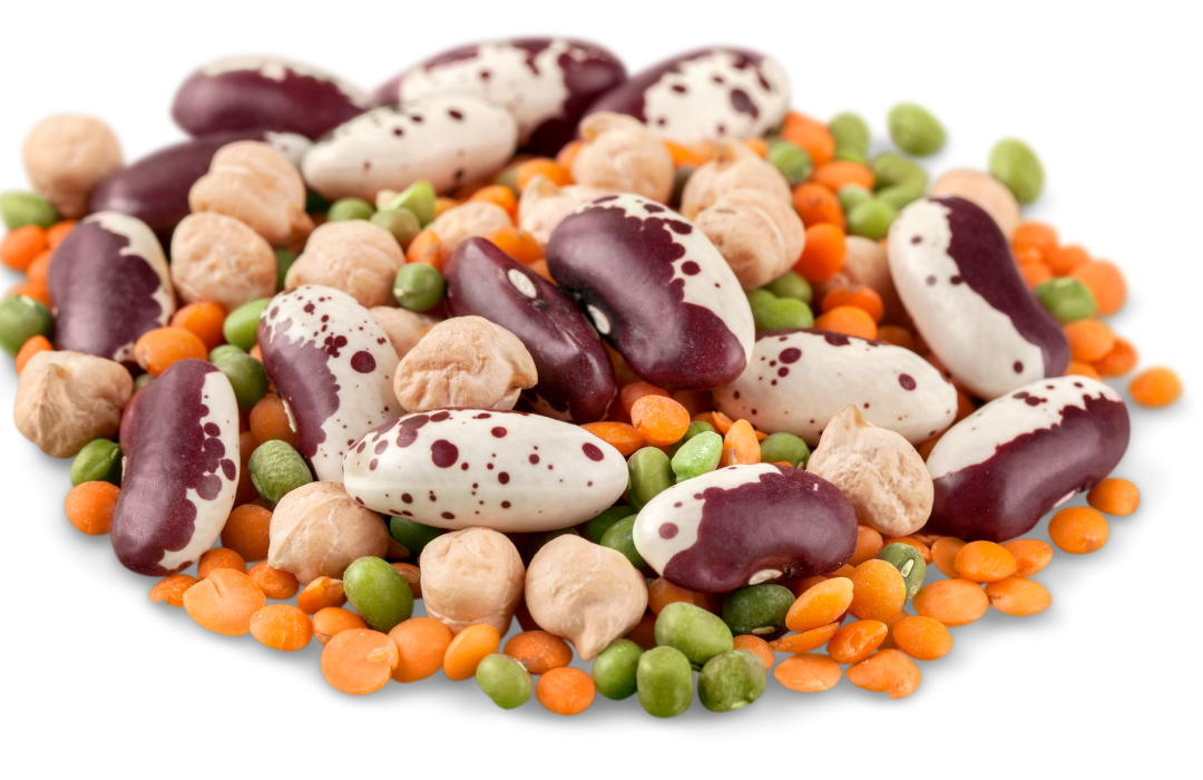 Legumes &amp; Their Amazing Nutrition Profile