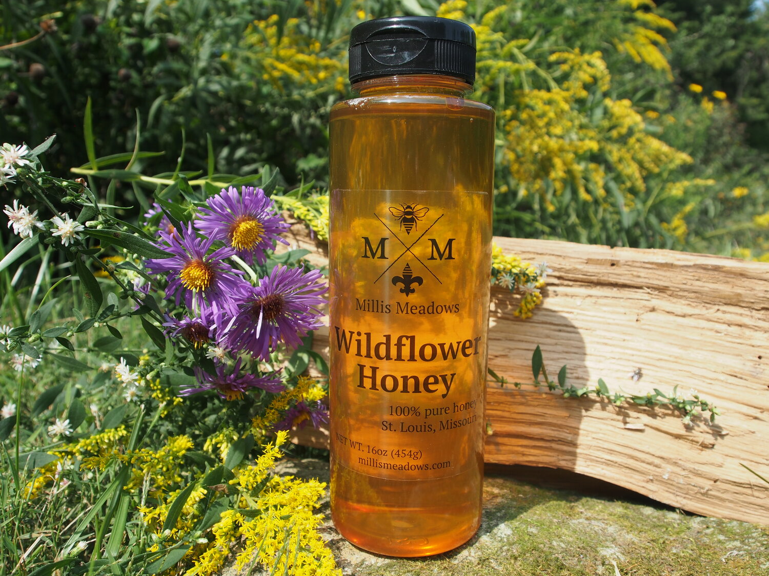 A Honey-Bound Colony - Wildflower Meadows