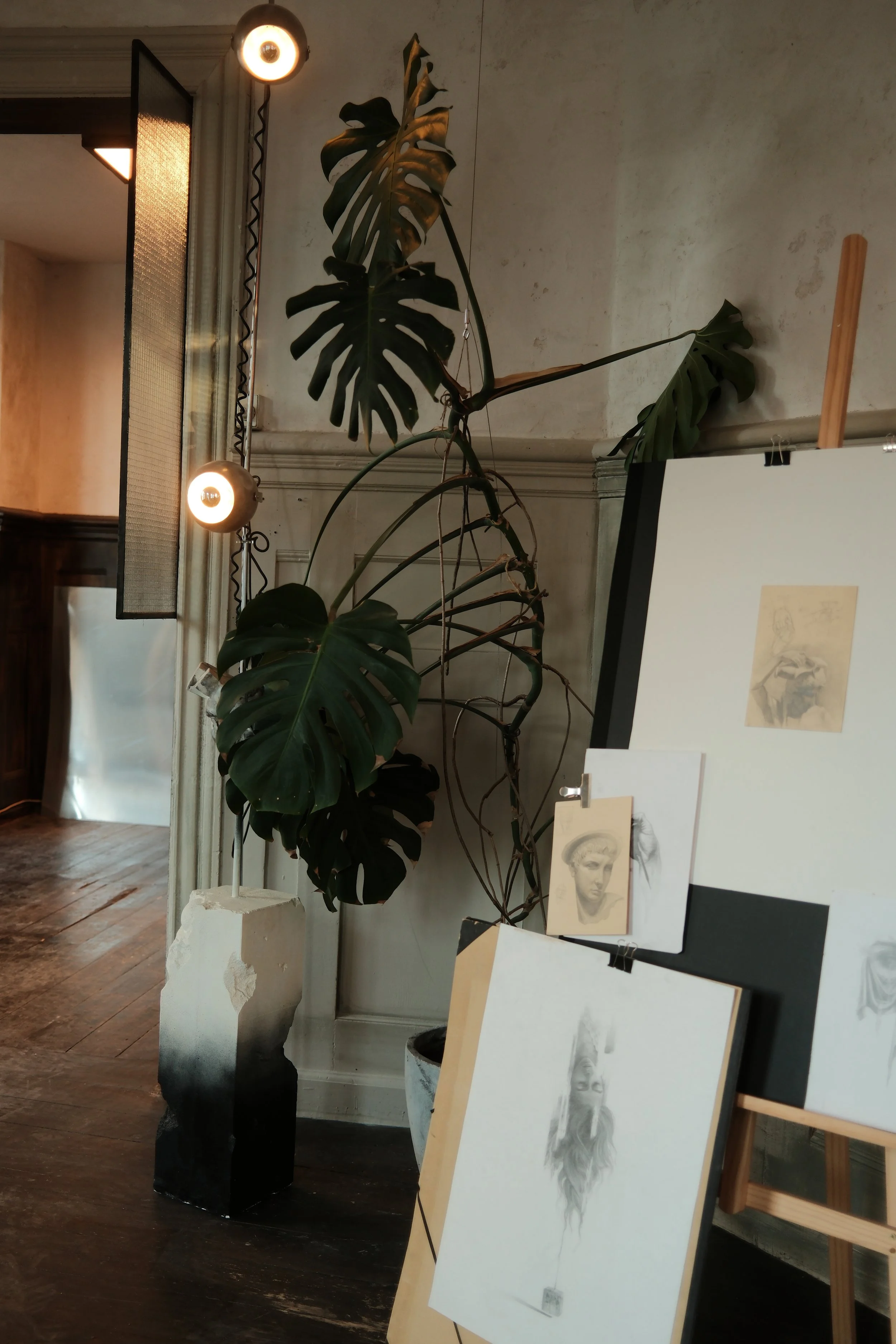 Indoor art display featuring large tropical plants and sketches or portraits on easels, with studio lighting.