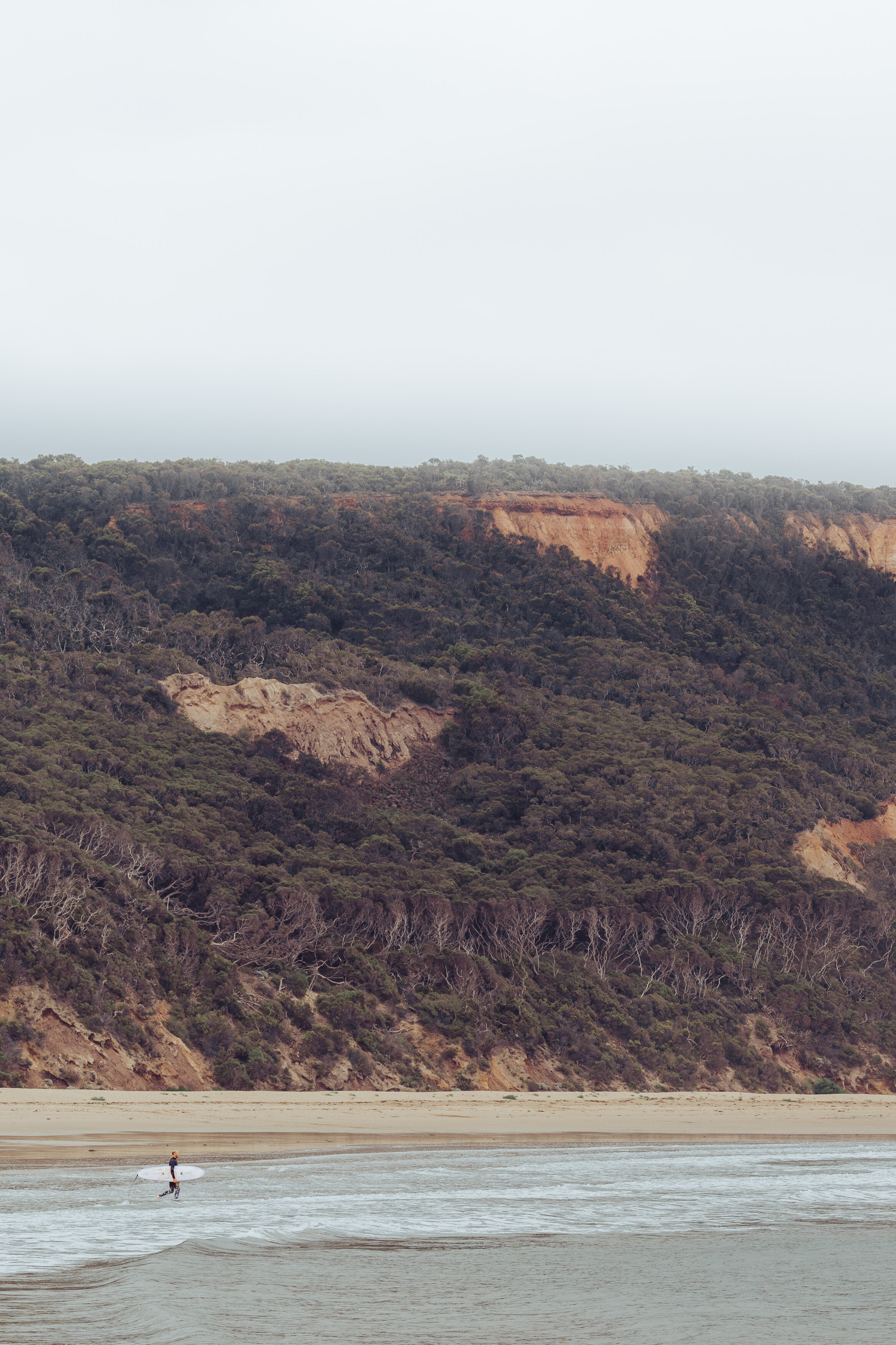 point Addis_.jpg