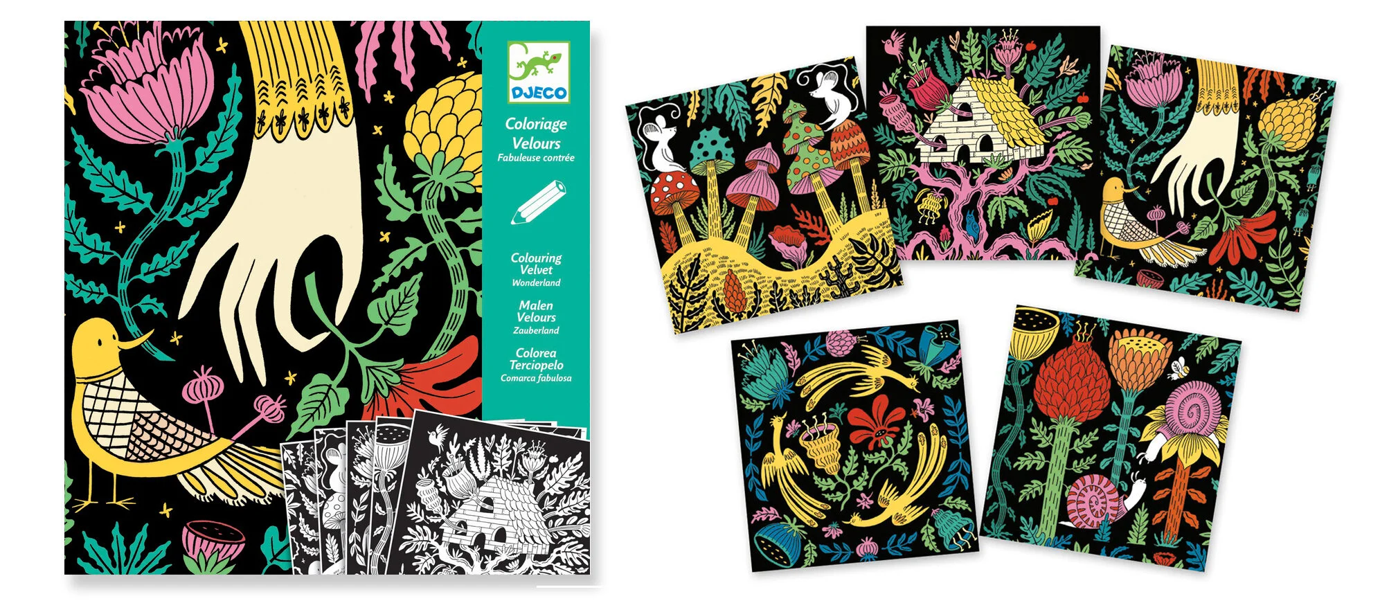 DJECO-photo&pack copy.jpg