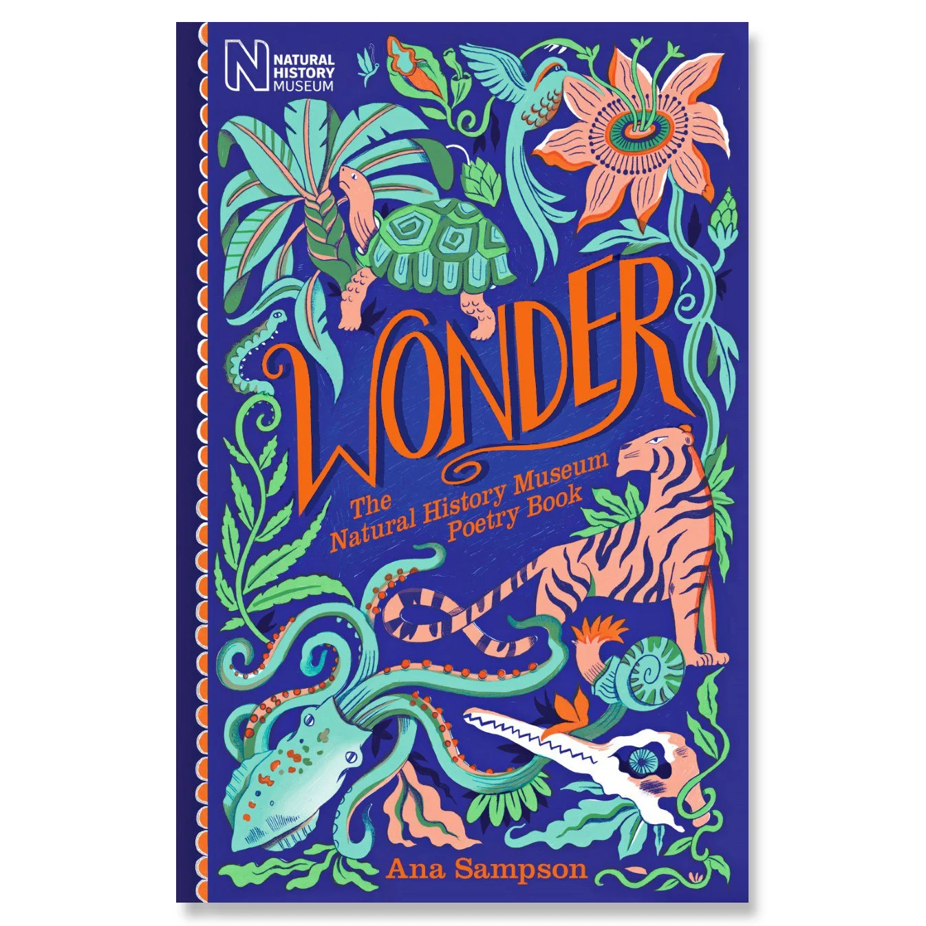 thumbnail_WonderWIP2 copy.jpg