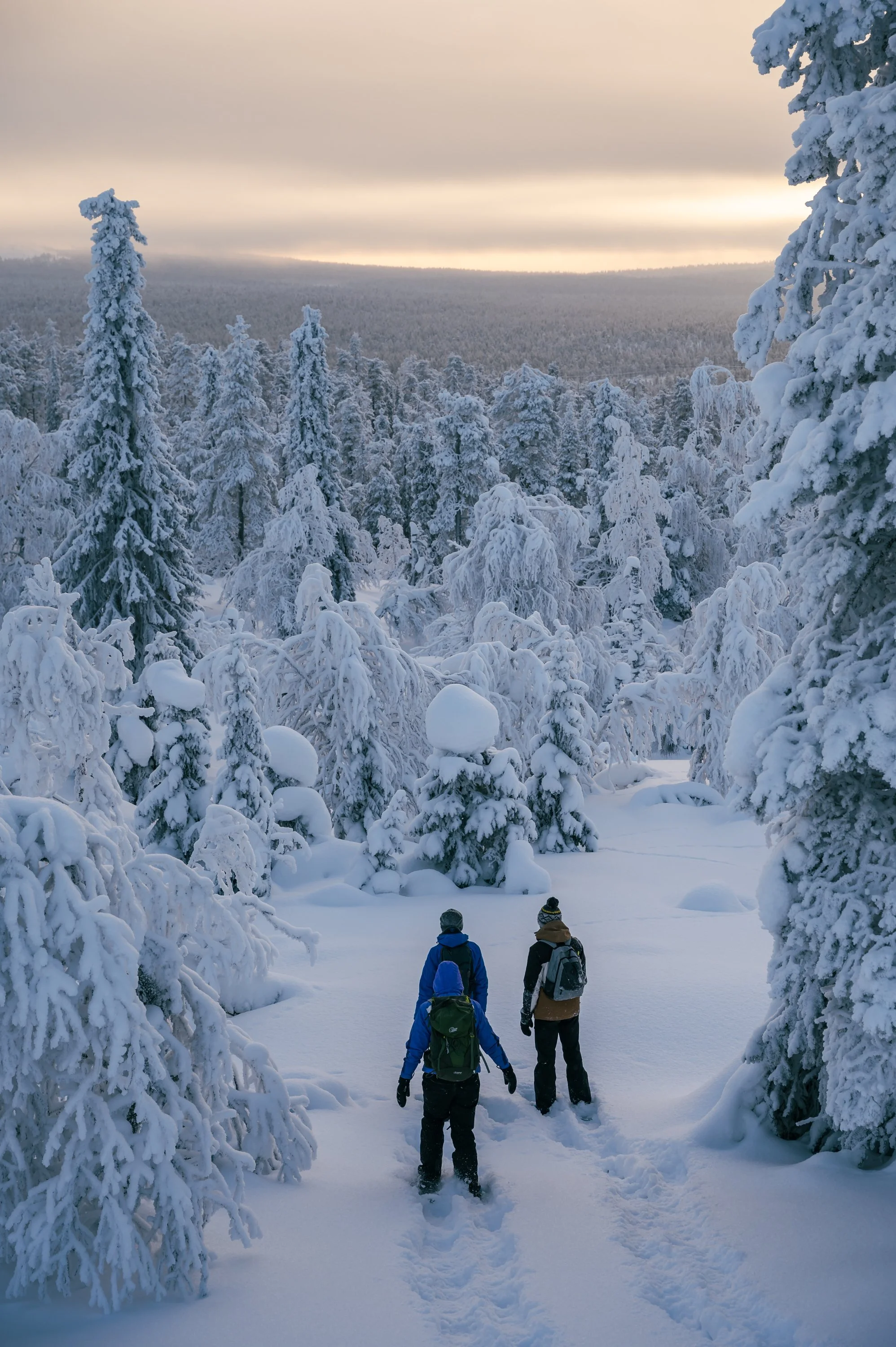 Sneeuw schoen wandelen-90.jpg