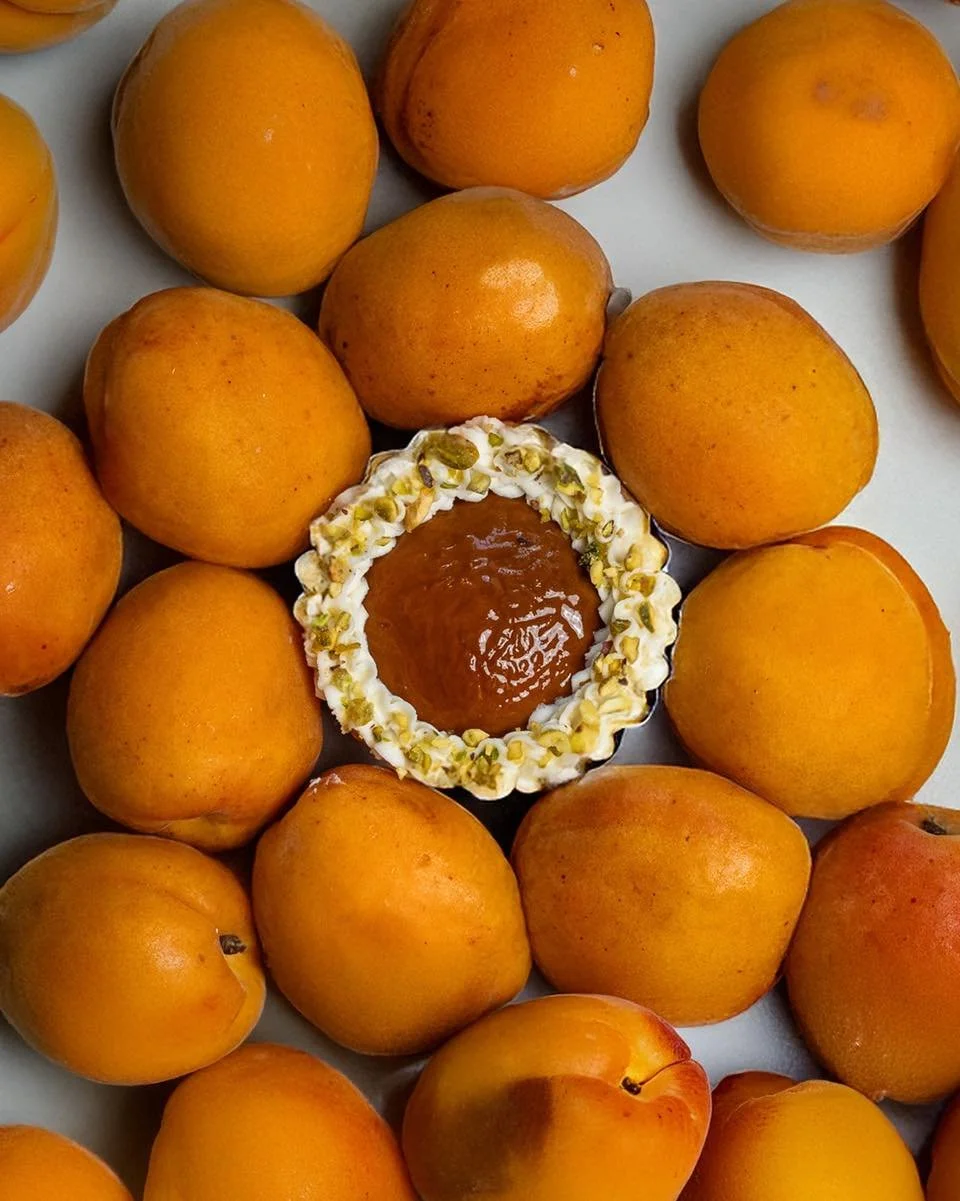 Bringing a little sunshine to the grid with these apricot tarts ☀️ Made with a light all-butter pastry, frangipane filling, poached apricot and an apricot glaze.
