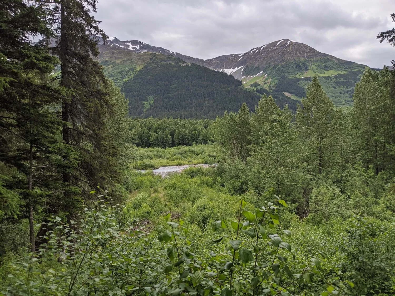 Upper Iditarod Trail