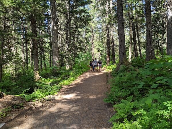  Beginning trail on Lower Winner Creek Trail 