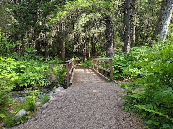  A bridge on Lower Winner Creek Trail 