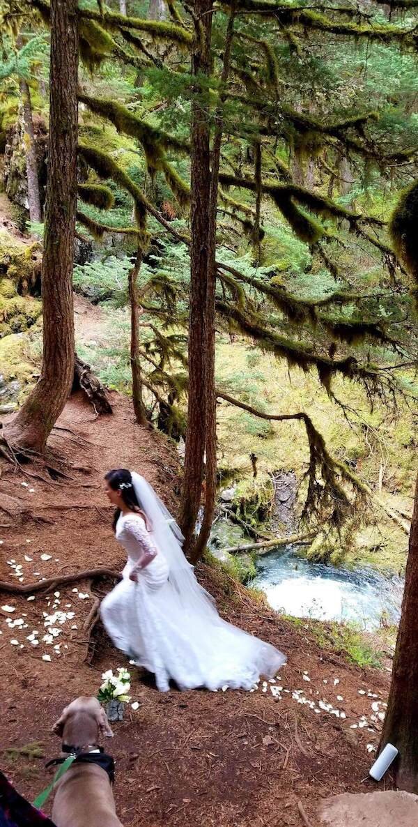  A bride walks up the mountain towards Virgin Falls  