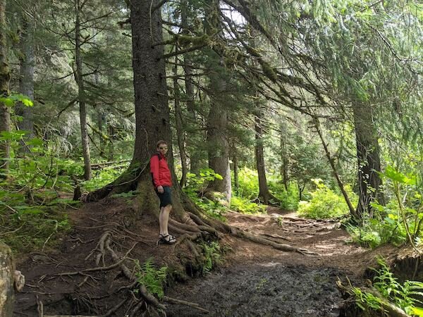  A young man standing by a tree on the Virgin Creek Trail 