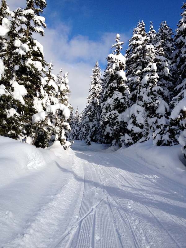  A winter trail on 5K Loop 