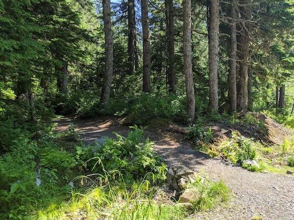  A cut-off trail from 5K to Lower Winner Creek Trail 