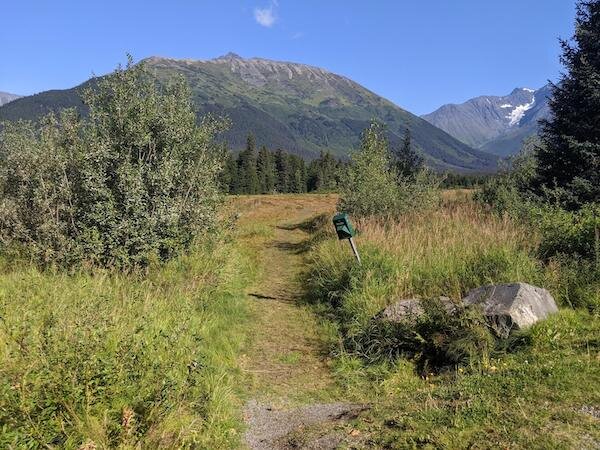  A trail leading into Moose Meadow 