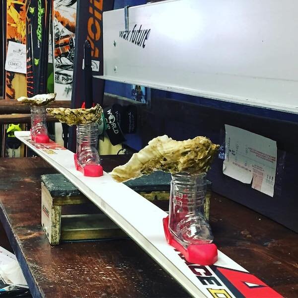  A ski on a bench getting tuned 